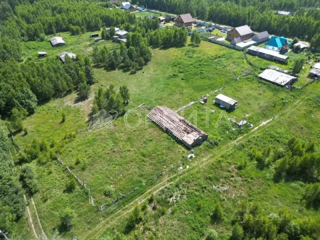 Участок в Тюменская область, Тюменский район, д. Головина  (12.0 сот.) - Фото 1