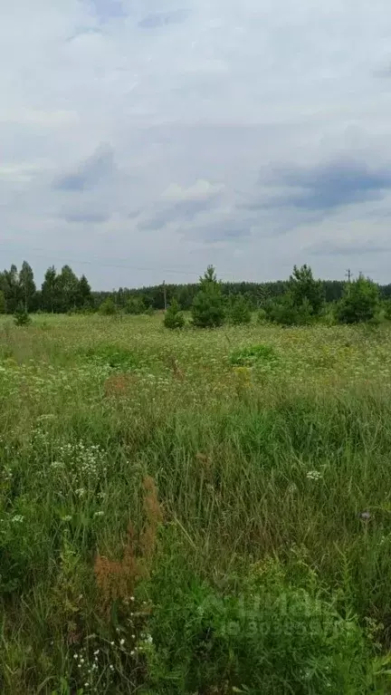 Участок в Нижегородская область, Арзамас городской округ, с. Чернуха ... - Фото 0