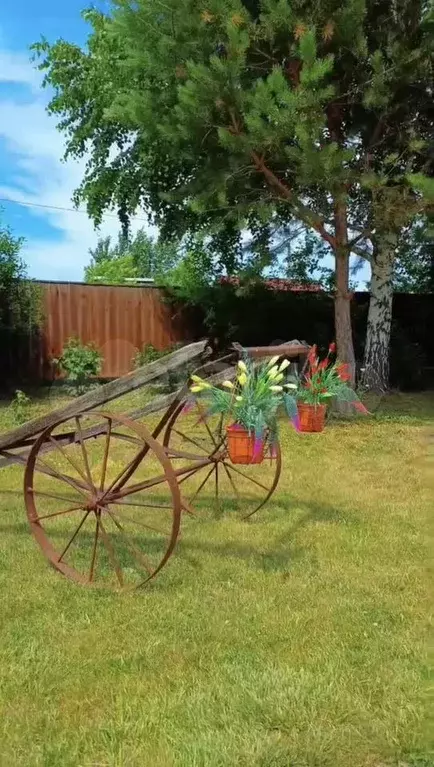 Дача 50 м на участке 10 сот. - Фото 0
