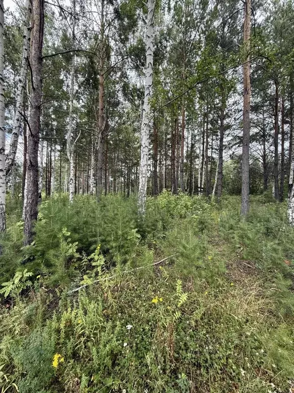 Участок в Свердловская область, Полевской ул. Блюхера (14.0 сот.) - Фото 2