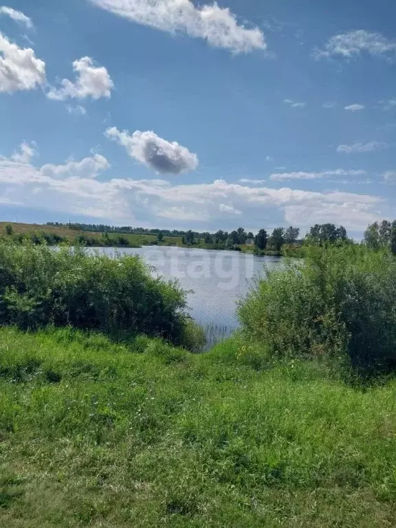 Участок в Алтайский край, Калманский район, с. Зимари ул. Солнечная, 2 ... - Фото 1