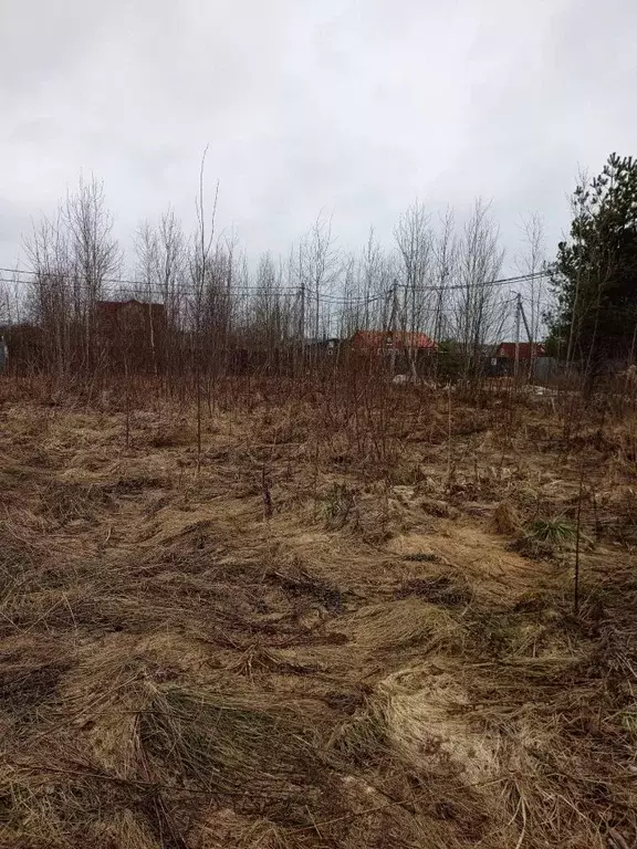 Участок в Ленинградская область, Кировский район, Синявинское ... - Фото 1