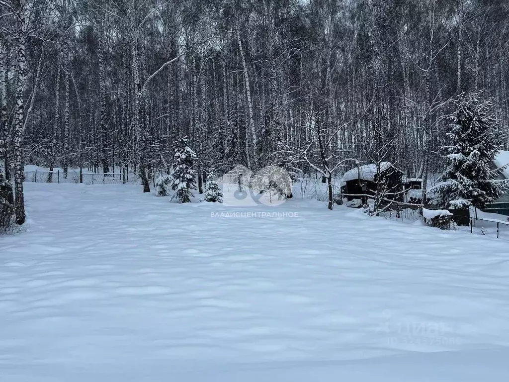 Участок в Новосибирская область, Новосибирский район, Барышевский ... - Фото 0