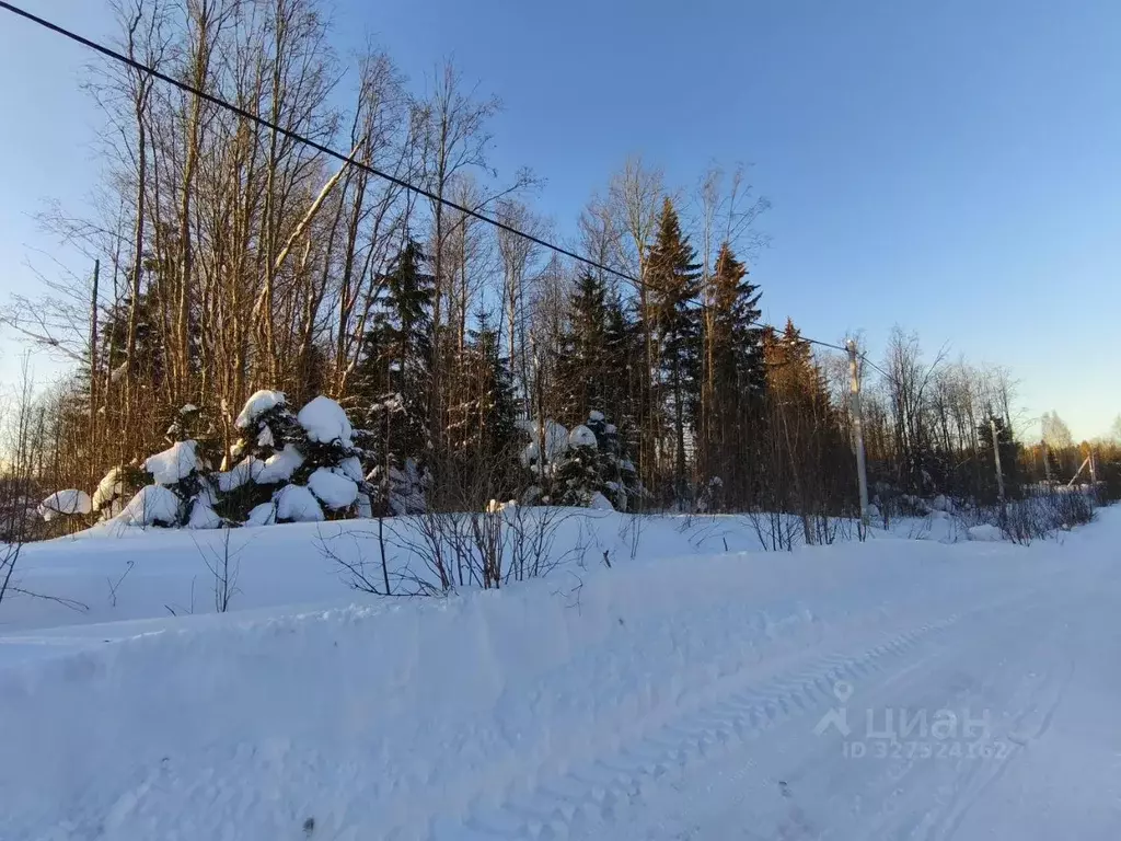 Участок в Вологодская область, Череповец пер. 3-й Кемеровский (8.0 ... - Фото 1