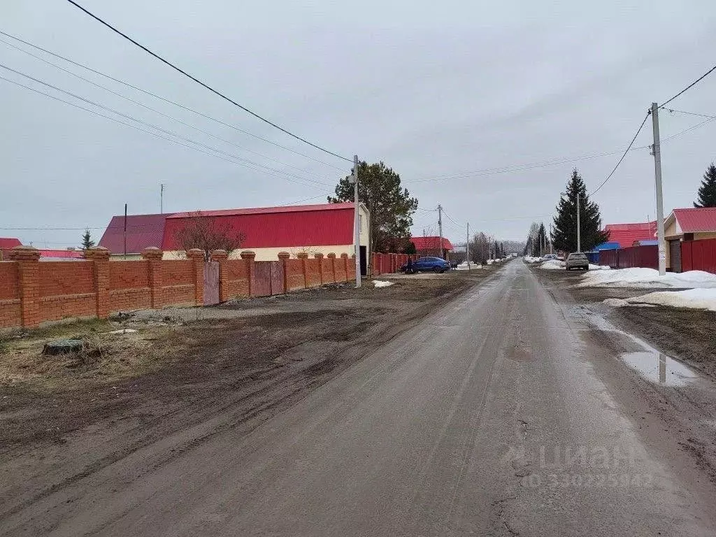 Дом в Самарская область, Красный Яр с/пос, с. Красный Яр ул. ... - Фото 2