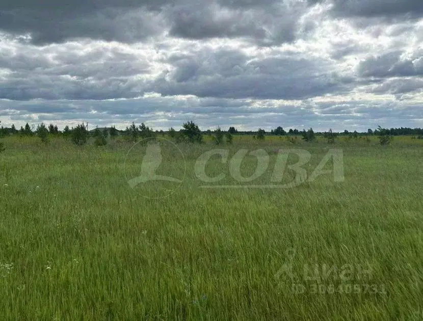 Участок в Тюменская область, Ялуторовский район, с. Киева  (300.0 ... - Фото 1