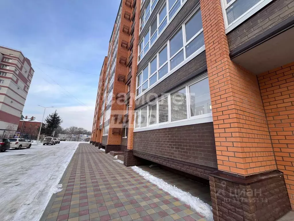 1-к кв. Амурская область, Благовещенск Высокая ул., 136 (39.5 м) - Фото 1