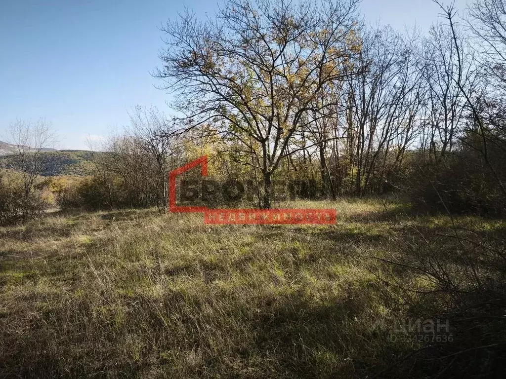 Участок в Севастополь с. Родное, ул. Школьная, 33 (3.0 га.) - Фото 2