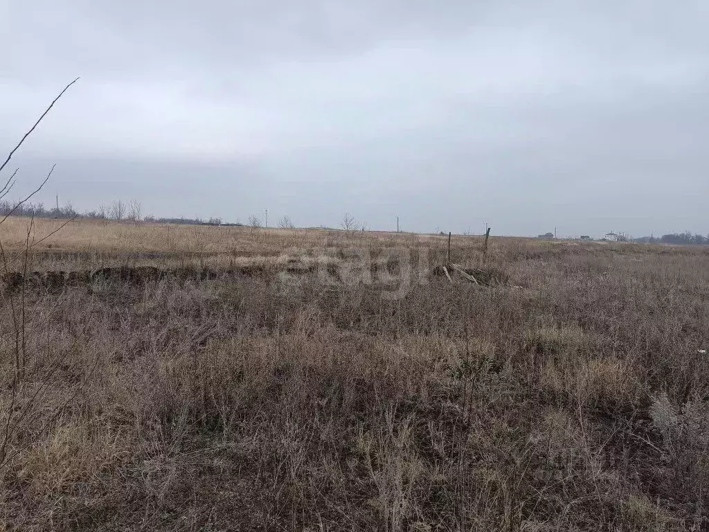 Участок в Курская область, Курский район, Клюквинский сельсовет, с. ... - Фото 1