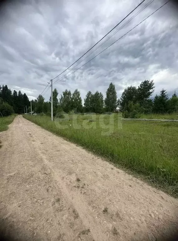 Участок в Пермский край, Пермский муниципальный округ, д. Дикая Гарь ... - Фото 1