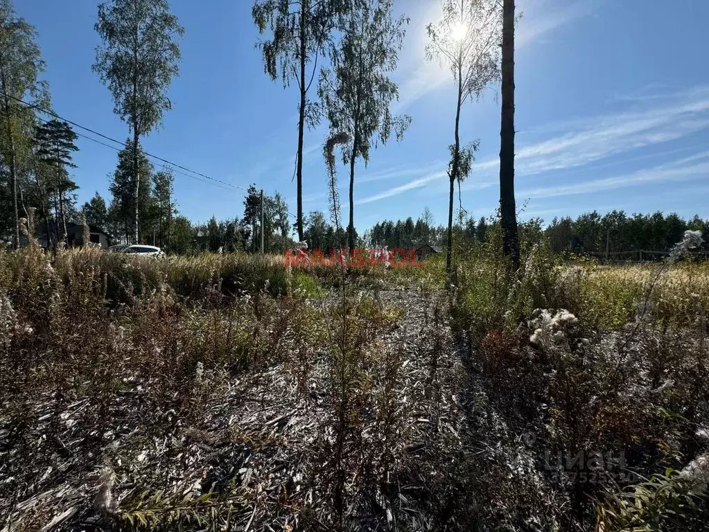 Участок в Московская область, Раменский городской округ, д. Фенино 41 ... - Фото 1