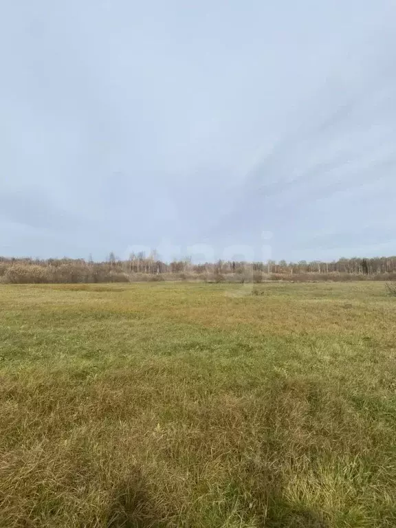 Участок в Свердловская область, Слободо-Туринский район, ... - Фото 1