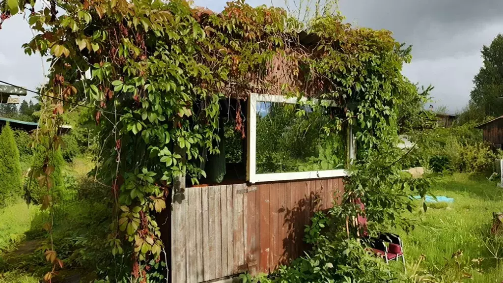 Дом в Ленинградская область, Кингисеппский район, Ивангородское ... - Фото 1