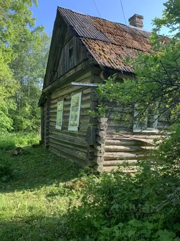 Дом в Ленинградская область, Лужский район, Осьминское с/пос, д. Релка ... - Фото 1