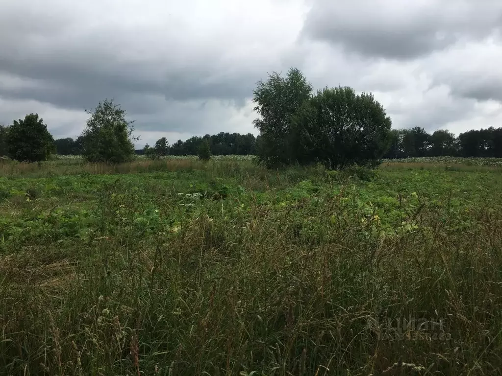 Участок в Московская область, Пушкинский городской округ, д. Цернское  ... - Фото 1