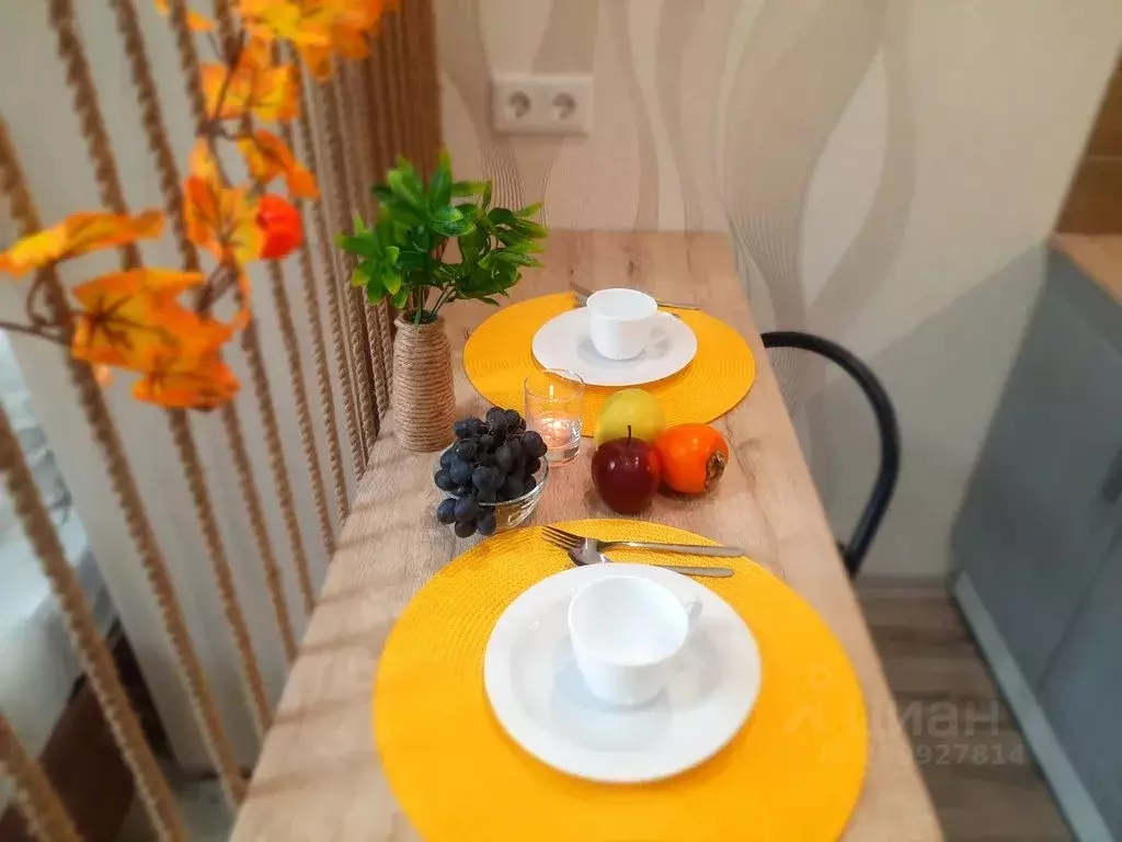 1-к кв. Тюменская область, Тюмень ул. 50 лет Октября, 75к1 (20.0 м) - Фото 2