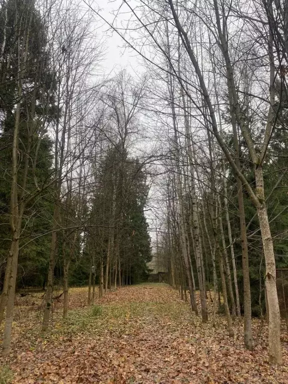 Участок в Московская область, Одинцовский городской округ, Жаворонок ... - Фото 1