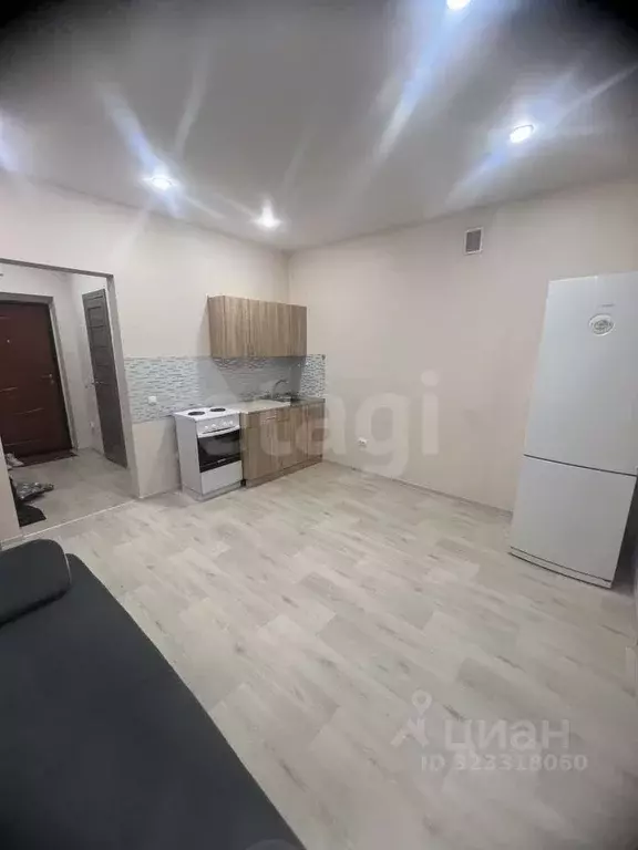 Студия Амурская область, Благовещенск ул. Островского, 218 (24.0 м) - Фото 1