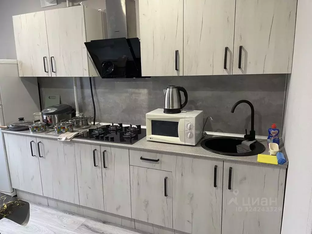 1-к кв. Нижегородская область, Нижний Новгород ул. Дьяконова, 20 (34.0 ... - Фото 1