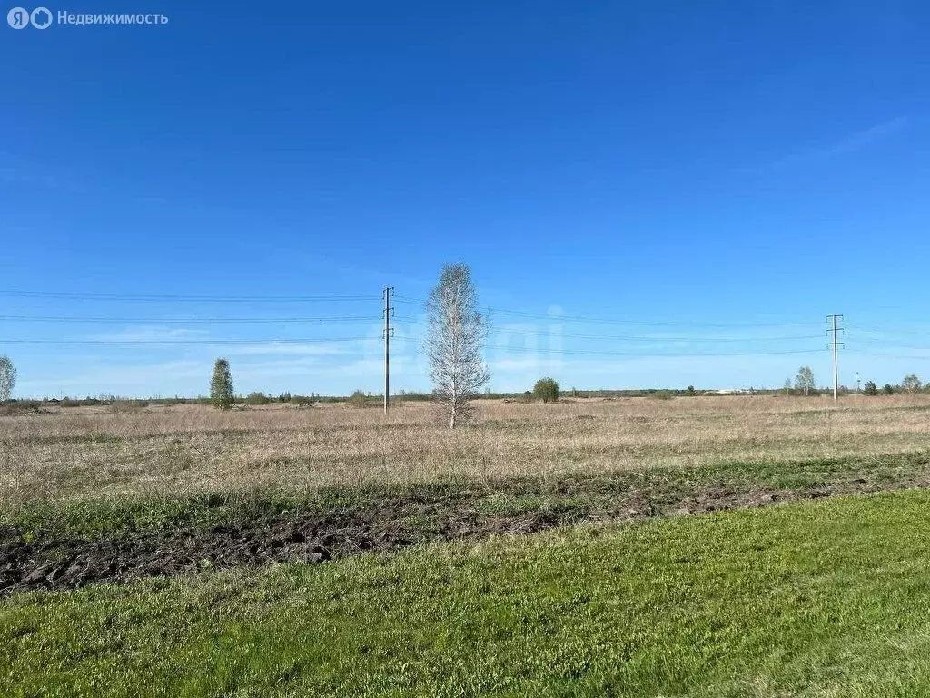 Участок в Тюменский район, деревня Елань (17.15 м) - Фото 0