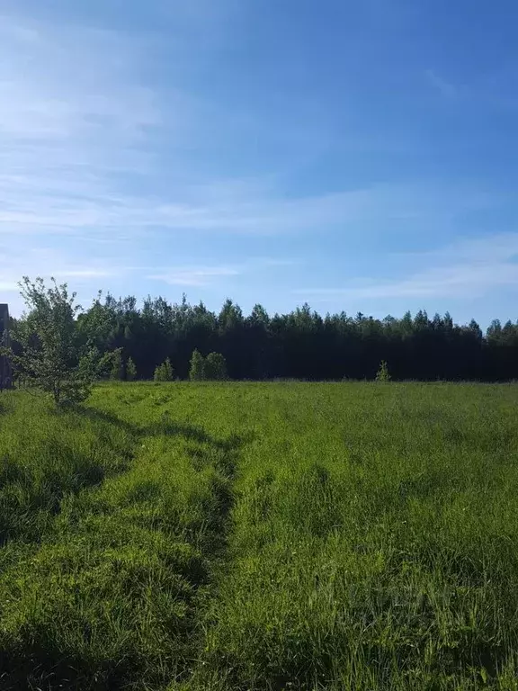 Участок в Ленинградская область, Волховский район, Кисельнинское ... - Фото 0