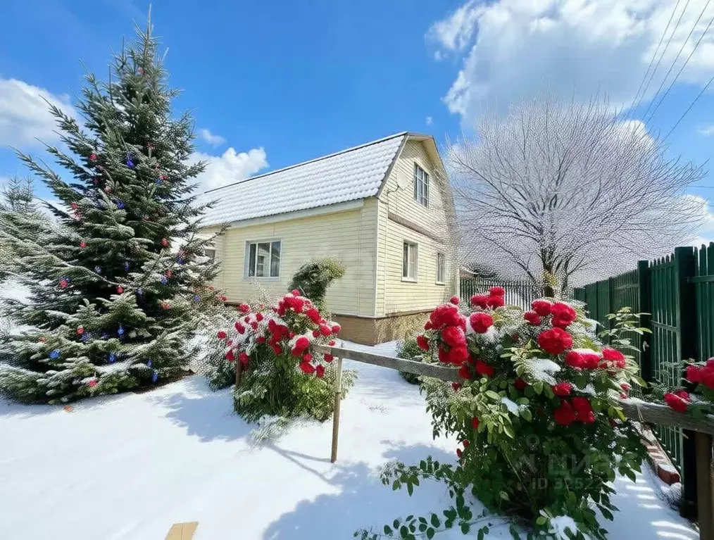 Дом в Владимирская область, Петушинский муниципальный округ, д. Новое ... - Фото 1