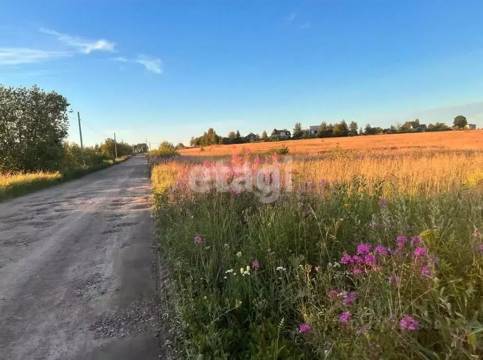 Участок в Ленинградская область, Ломоносовский район, Низинское с/пос, ... - Фото 1