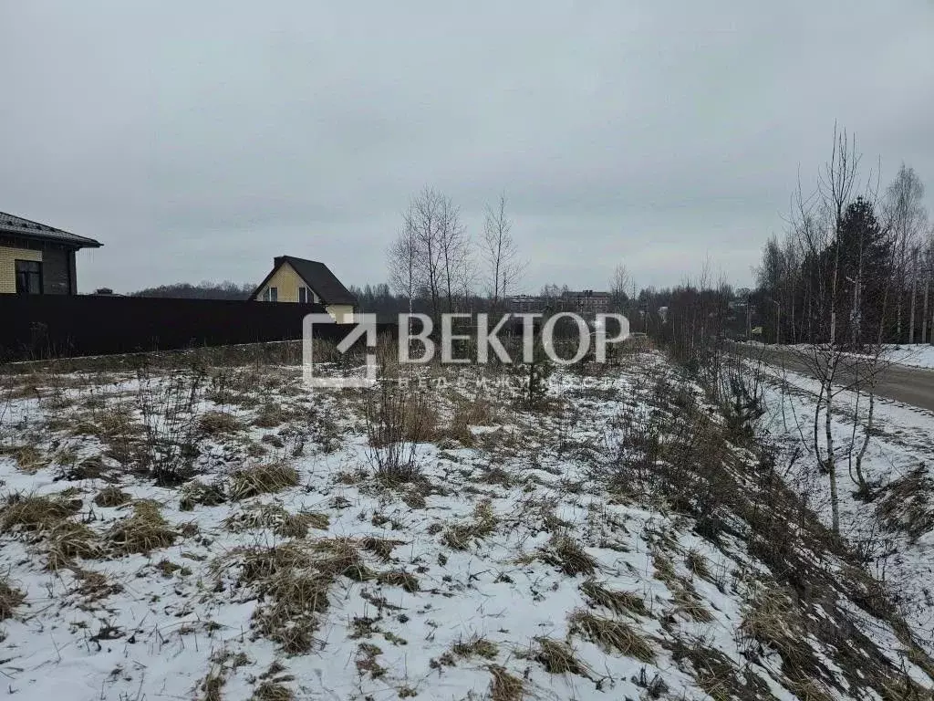 Участок в Ивановская область, Ивановский район, с. Ново-Талицы ул. ... - Фото 2