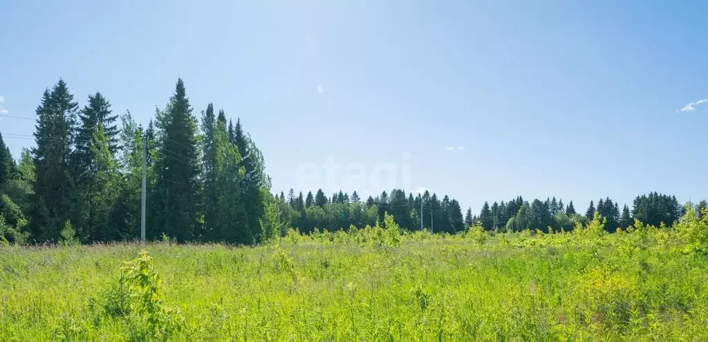 Култаево Пермский район