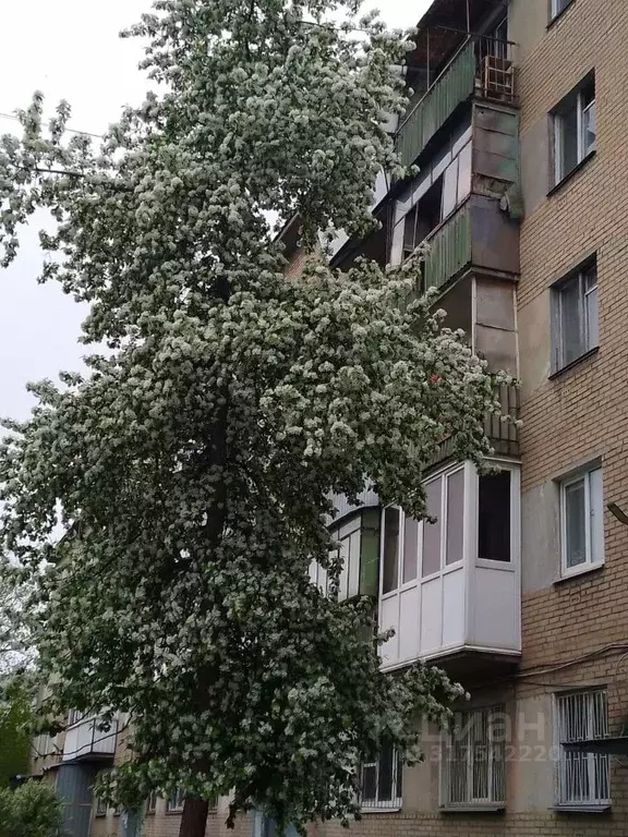 1-к кв. Челябинская область, Челябинск ул. Либединского, 47А (30.0 м) - Фото 0