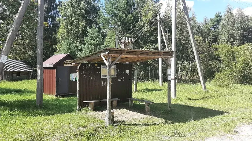 Участок в Псковская область, Псковский район, Ветеран СНТ  (30.0 сот.) - Фото 1