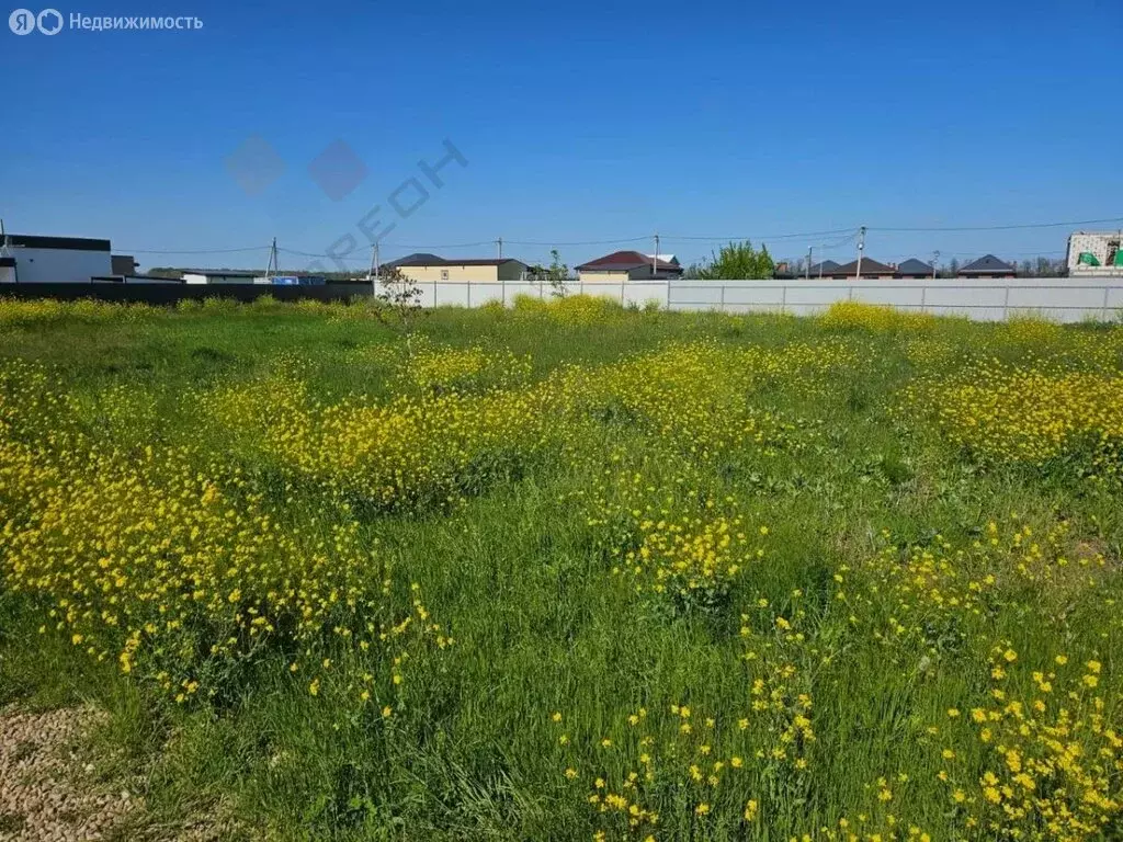 Участок в станица Старокорсунская, Придорожная улица (6 м) - Фото 0
