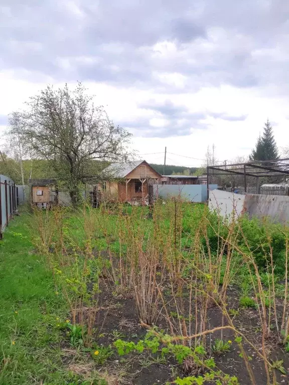 Дом в Свердловская область, Белоярский городской округ, д. Шиши ул. ... - Фото 0