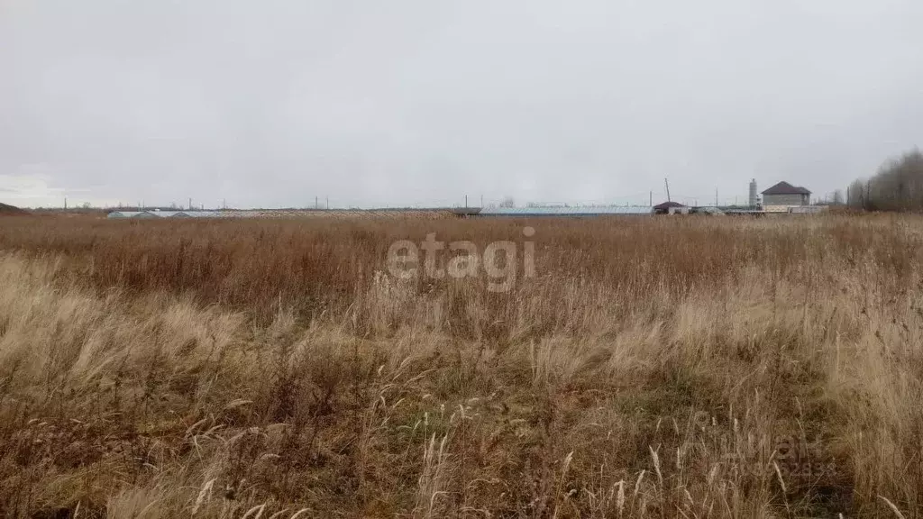 Участок в Хабаровский край, Хабаровск Дубрава СТ,  (8.2 сот.) - Фото 1