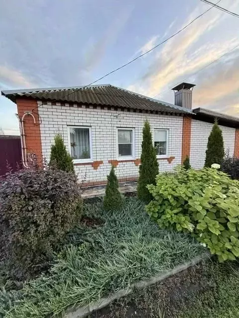 Дом в Белгородская область, Алексеевка ул. Никитина (80 м) - Фото 1