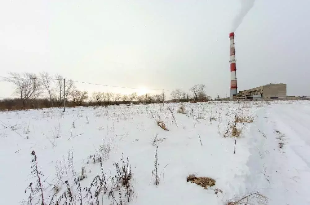 Участок в Курганская область, Шадринск ул. Труда (10.3 сот.) - Фото 0