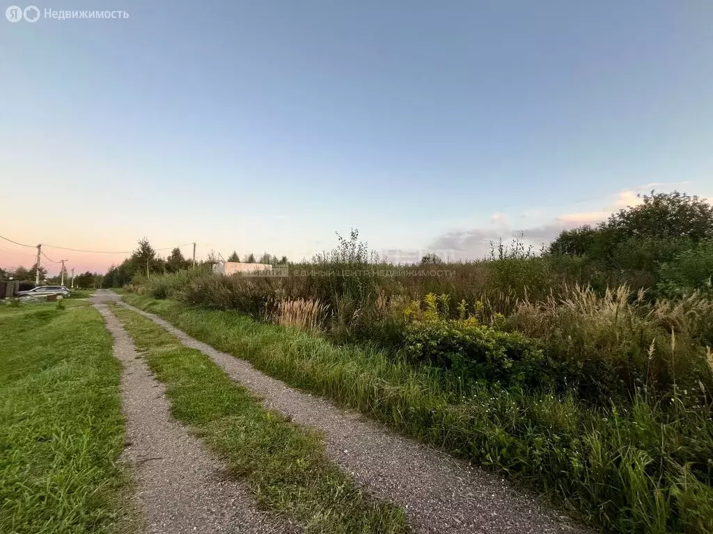 Участок в Владимирская область, Собинский муниципальный округ, село ... - Фото 1