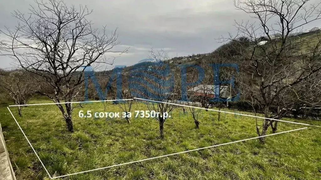 Участок в Краснодарский край, Сочи Чаевод СНТ, 56 (6.5 сот.) - Фото 1