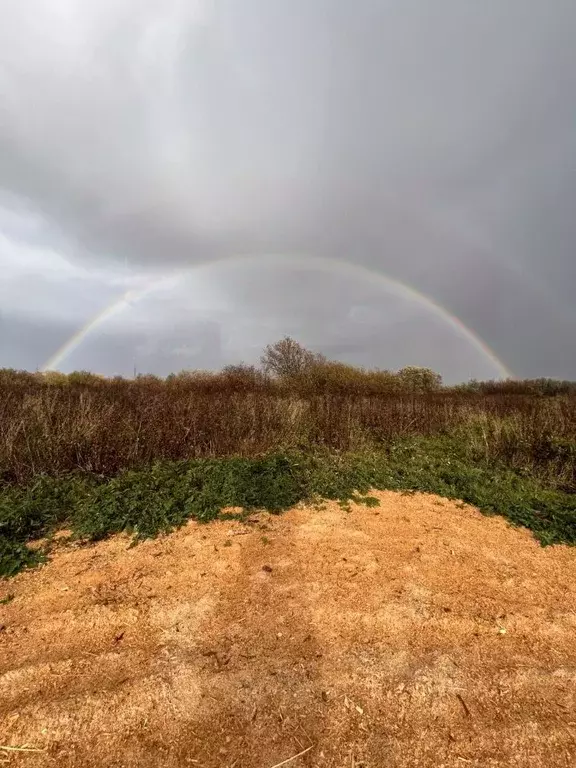 Участок в Архангельская область, Архангельск пос. Боры,  (12.0 сот.) - Фото 1