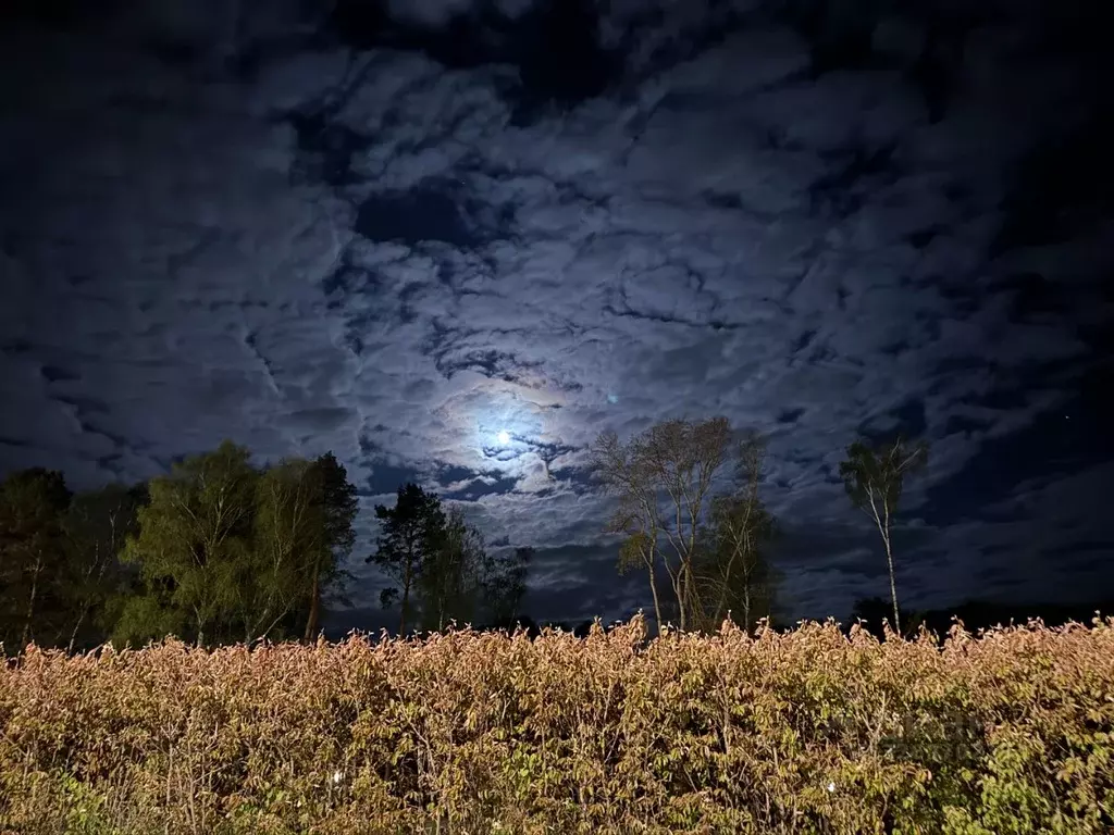 Участок в Тульская область, Заокский район, Малаховское с/пос, Нова ... - Фото 2