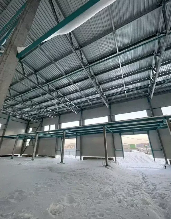 Склад в Московская область, Ленинский городской округ, Молоково пгт ... - Фото 2