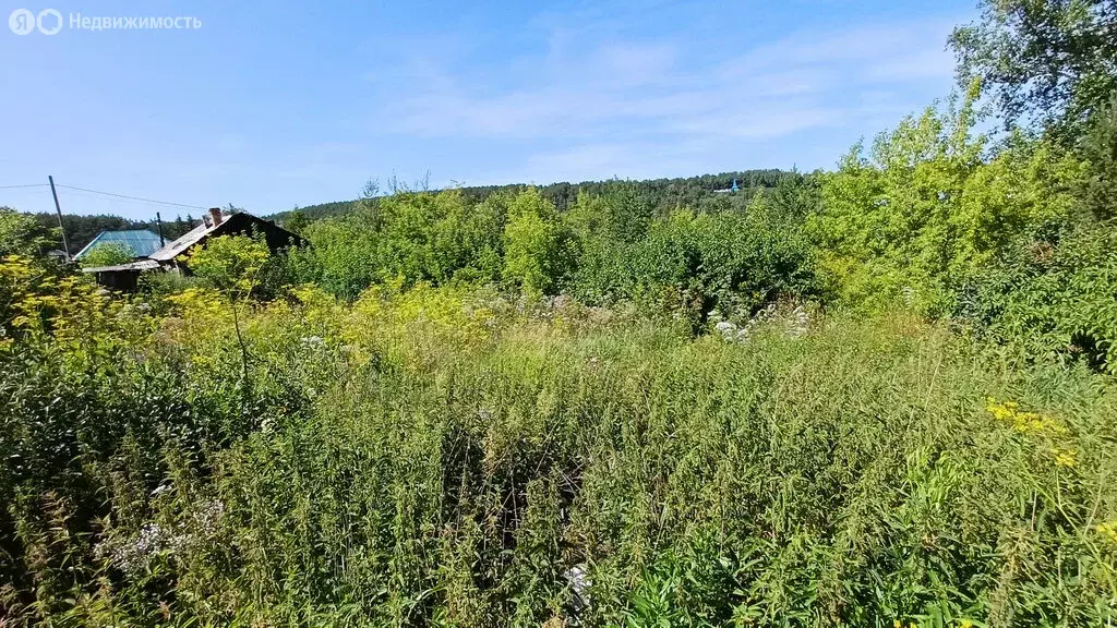 Участок в Курьи, улица Куйбышева, 11 (14 м) - Фото 1