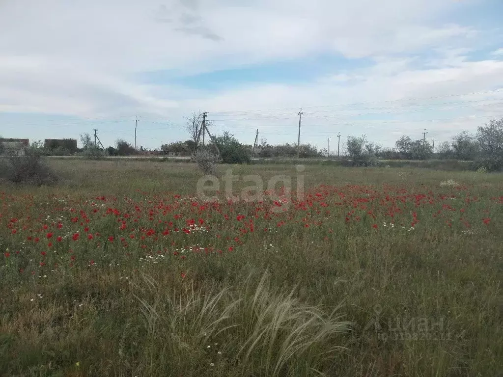 Участок в Крым, Ленинский район, Семисотское с/пос, с. Каменское ул. ... - Фото 1