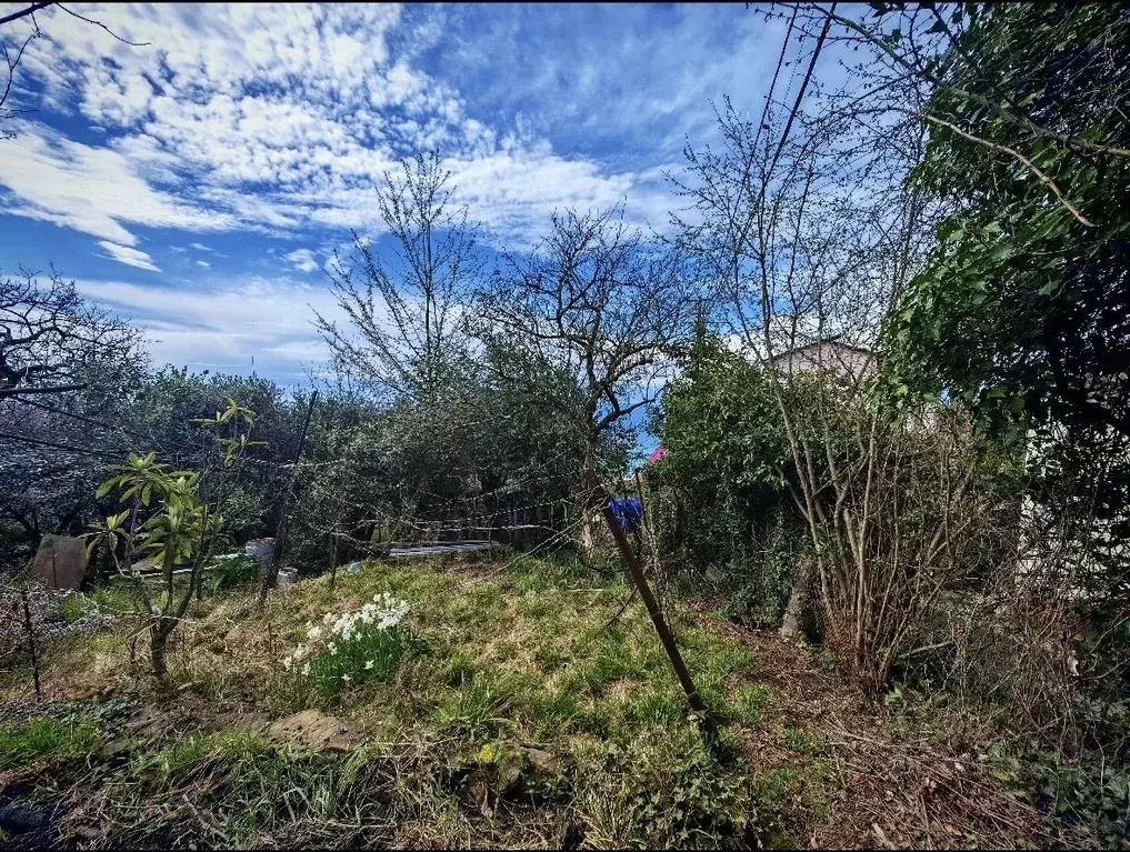 Участок в Краснодарский край, Сочи Кудепста мкр,  (6.0 сот.) - Фото 2