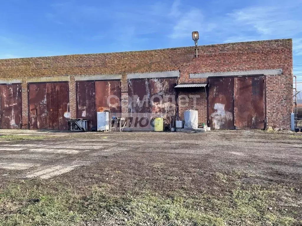 Склад в Курская область, Мантуровский сельсовет, с. Мантурово ул. ... - Фото 1