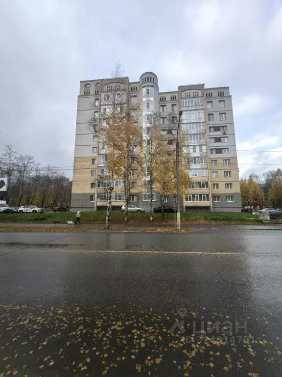 Студия Коми, Сыктывкар ул. Куратова, 76 (25.4 м) - Фото 1