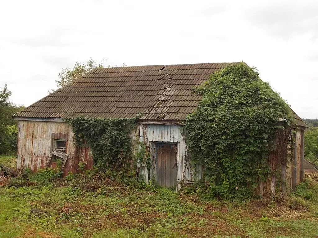 Дом в Борисовка, Набережная улица, 14 (36.2 м) - Фото 0