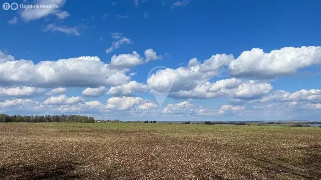 Участок в Рязанский район, Вышгородское сельское поселение, село ... - Фото 1