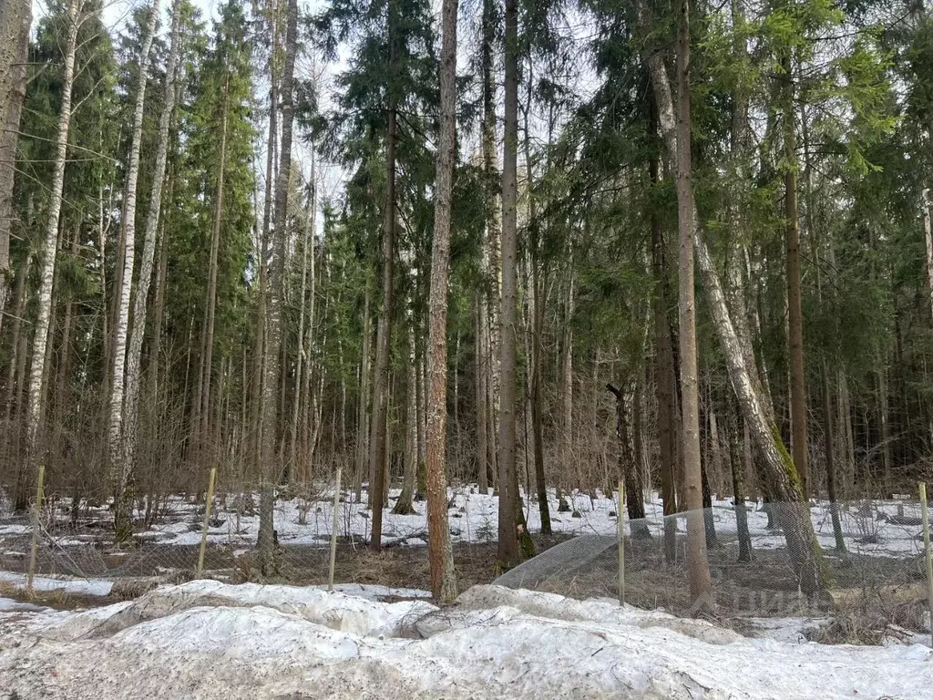 Участок в Московская область, Наро-Фоминский городской округ, д. ... - Фото 1