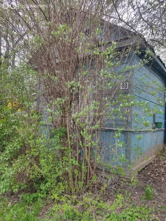 Дом в Владимир, сад имени 9 Мая, 88 (15 м) - Фото 2